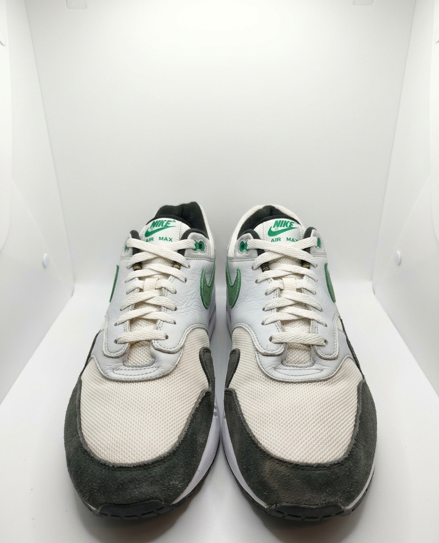 Nike Air Max 1